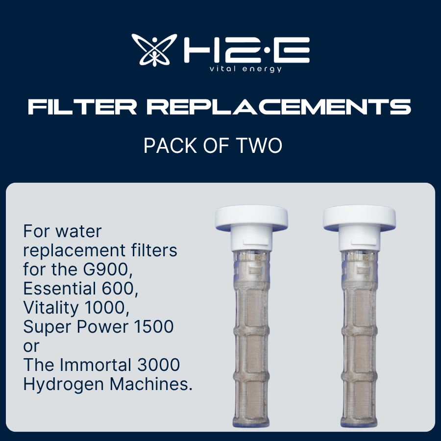 Replacement Water Filter